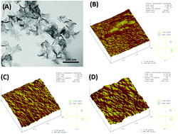 Graphical abstract: A potentiometric aptasensor for carcinoembryonic antigen (CEA) on graphene oxide nanosheets using catalytic recycling of DNase I with signal amplification