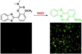 Graphical abstract: ESIPT-based fluorescence probe for the rapid detection of hypochlorite (HOCl/ClO−)