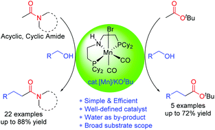 Graphical abstract: Manganese-catalyzed direct C–C coupling of α-C–H bonds of amides and esters with alcohols via hydrogen autotransfer