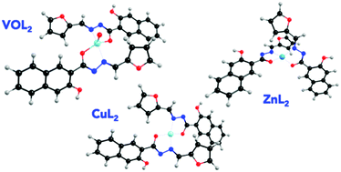 Graphical abstract: Naphthoylhydrazones: coordination to metal ions and biological screening