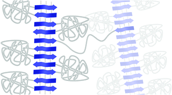 Graphical abstract: Supramolecular assembly of functional peptide–polymer conjugates