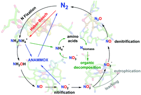 Graphical abstract: Grand challenges in the nitrogen cycle