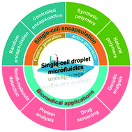 Graphical abstract: Single-cell droplet microfluidics for biomedical applications