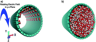 Graphical abstract: Electropumping of nanofluidic water by linear and angular momentum coupling: theoretical foundations and molecular dynamics simulations