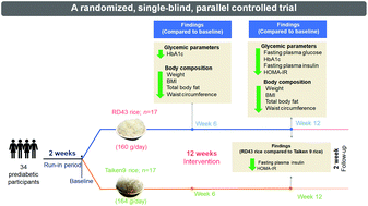Graphical abstract: Improvement in the metabolic markers of prediabetic subjects due to the partial substitution of Taiken9 rice by RD43 rice in their daily diet: a randomized clinical trial