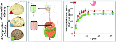 Graphical abstract: The contribution of gastric digestion of starch to the glycaemic index of breads with different composition or structure
