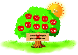 Graphical abstract: Photo-induced transition-metal and external photosensitizer-free organic reactions