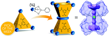 Graphical abstract: How to not build a cage: endohedral functionalization of polyoxometalate-based metal–organic polyhedra