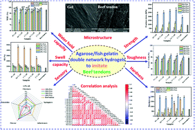 Graphical abstract: Fabrication of agarose/fish gelatin double-network hydrogels with high strength and toughness for the development of artificial beef tendons
