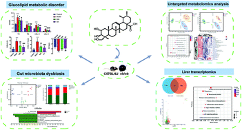 Graphical abstract: Asiatic acid alleviates metabolism disorders in ob/ob mice: mechanistic insights