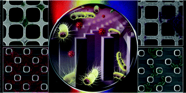 Graphical abstract: Shining light in blind alleys: deciphering bacterial attachment in silicon microstructures