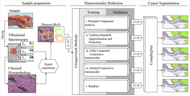 Graphical abstract: Dimensionality reduction for deep learning in infrared microscopy: a comparative computational survey