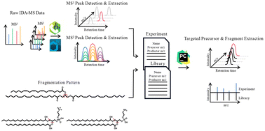 Graphical abstract: SpecLipIDA: a pseudotargeted lipidomics approach for polyunsaturated fatty acids in milk
