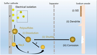 Graphical abstract: Strategies to mitigate the shuttle effect in room temperature sodium–sulfur batteries: improving cathode materials