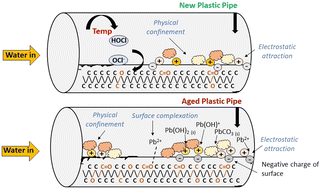 Graphical abstract: Impact of the surface aging of potable water plastic pipes on their lead deposition characteristics