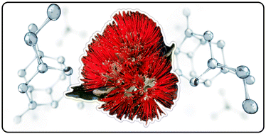 Graphical abstract: Syntheses and polymerization of monoterpene-based (meth)acrylates: IBO(M)A as a relevant monomer for industrial applications