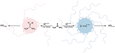 Graphical abstract: Role of carboxylates in the phase determination of metal sulfide nanoparticles