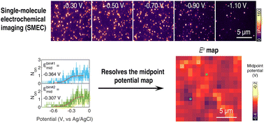 Graphical abstract: Single-molecule electrochemical imaging resolves the midpoint potentials of individual fluorophores on nanoporous antimony-doped tin oxide