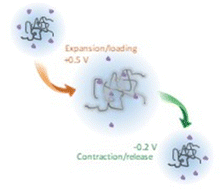 Graphical abstract: Drug delivery via a 3D electro-swellable conjugated polymer hydrogel