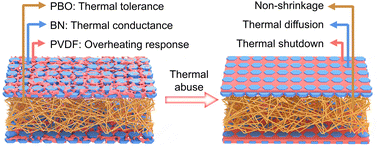 Graphical abstract: Rationally coupling thermal tolerance, thermal conductance, and overheating-response in a separator for safe batteries