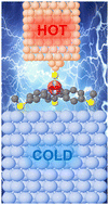 Graphical abstract: Thermoelectric signature of d-orbitals in tripod-based molecular junctions