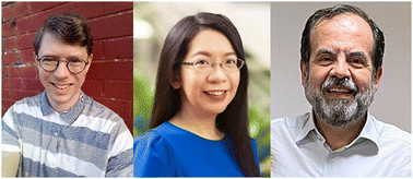 Graphical abstract: Introduction to exploring the progress in fundamental, functional material and health aspects of melanins and related materials