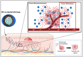 Graphical abstract: Advanced disease therapeutics using engineered living drug delivery systems