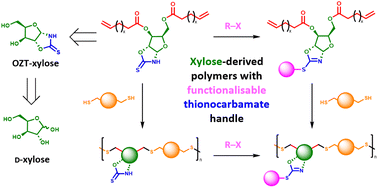 Graphical abstract: Xylose-derived thionocarbamates as a synthetic handle towards a functional platform of sugar-based polymers