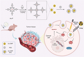 Graphical abstract: Au-based conjugated microporous polymers for combined photodynamic and radiation therapy in cancer treatment