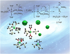 Graphical abstract: Stabilization of reactive rare earth alkyl complexes through mechanistic studies