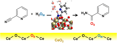 Graphical abstract: Lattice oxygen insertion mechanism in CeO2-catalyzed reactions in water: nitrile hydration reaction