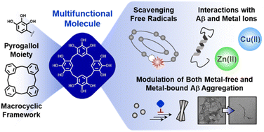 Graphical abstract: Multi-target macrocycles: pyrogallol derivatives to control multiple pathological factors associated with Alzheimer's disease