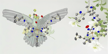 Graphical abstract: Tetrapodal iron complexes invoke observable intermediates in nitrate and nitrite reduction