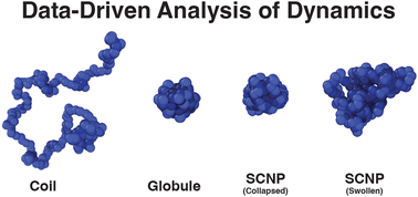 Graphical abstract: Analysis of the internal motions of thermoresponsive polymers and single chain nanoparticles