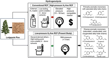 Graphical abstract: Glycerol-derived ethers enable hydrogen-free reductive catalytic fractionation of softwood lignin into functionalized aromatic monomers