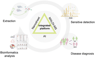 Graphical abstract: An integrated platform for decoding hydrophilic peptide fingerprints of hepatocellular carcinoma using artificial intelligence and two-dimensional nanosheets