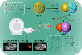 Graphical abstract: A polymeric 1H/19F dual-modal MRI contrast agent with a snowman-like Janus nanostructure