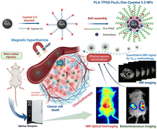 Graphical abstract: Harnessing for quantitative MRI, bioluminescence, chemo-magnetic hyperthermia, and near-infrared optical imaging of a magnetic nanotheranostic for in vivo passive targeted monitoring in colorectal cancer models