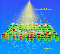 Graphical abstract: Multifunctional antifouling sustainable membranes integrating MIL-125(Ti) and carboxylated cellulose nanofibers for self-cleaning and dye degradation