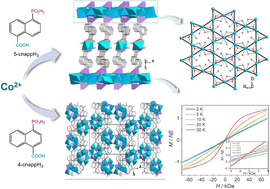 Graphical abstract: Metal–organic framework containing Co3(μ3-OH)-based kagomé layers showing long-range weak ferromagnetic ordering