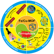 Graphical abstract: Ferroptosis based on metal–organic frameworks for tumor therapy