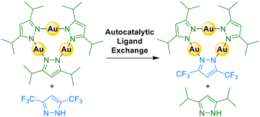 Graphical abstract: The constitutional dynamic chemistry of Au3(pyrazolate)3 complexes