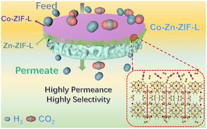 Graphical abstract: Design and construction of homogeneous heterogeneity Co–Zn-ZIF-L membranes for efficient H2/CO2 separation
