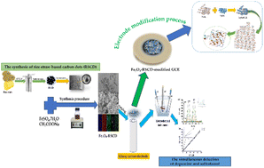 Graphical abstract: Fe2O3–rice straw carbon dot composite for simultaneous electrochemical detection of dopamine and salbutamol
