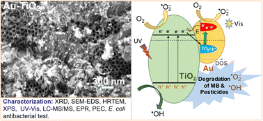 Graphical abstract: Plasmonic Au–TiO2 nanowire/nanotube heterostructures for multifunctional photocatalysis: dye and pesticide degradation, water splitting, and antibacterial activity