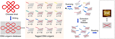 Graphical abstract: Structure-based DNA memory with Boolean random access
