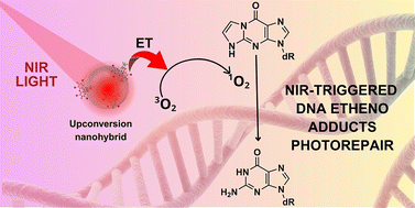 Graphical abstract: Upconversion nanohybrids for NIR-induced photorepair of DNA etheno adducts