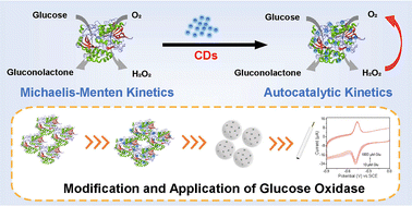Graphical abstract: Carbon dots endow glucose oxidase with autocatalytic features and anti-poisoning ability