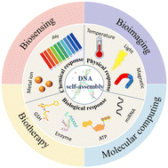 Graphical abstract: Dynamic nanostructures based on DNA self-assembly: from molecular switches to intelligent biomedical applications