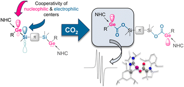 Graphical abstract: Silagermylenation of C [[double bond, length as m-dash]] O bonds and radical fragmentation of CO2-expanded bis(germylene) by a cyclic (alkyl)(amino)carbene